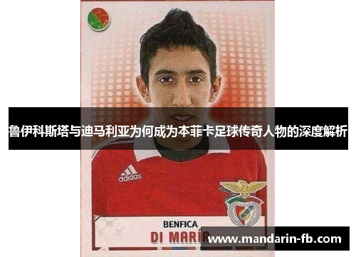 鲁伊科斯塔与迪马利亚为何成为本菲卡足球传奇人物的深度解析