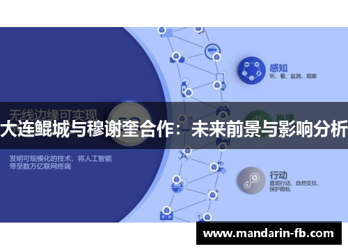 大连鲲城与穆谢奎合作：未来前景与影响分析