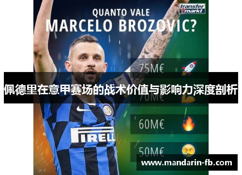 佩德里在意甲赛场的战术价值与影响力深度剖析