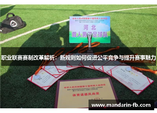 职业联赛赛制改革解析:新规则如何促进公平竞争与提升赛事魅力 职业联赛赛制改革解析:新规则如何促进公平竞争与提升赛事魅力