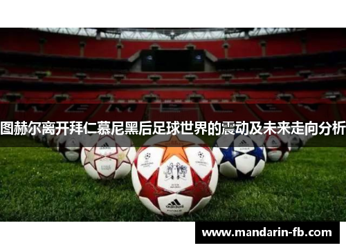 图赫尔离开拜仁慕尼黑后足球世界的震动及未来走向分析 图赫尔离开拜仁慕尼黑后足球世界的震动及未来走向分析